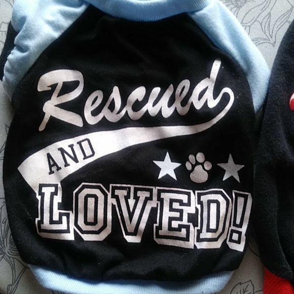 LIL’L PALS Harness plus Two Small Dog/Puppy Shirts - Picture 2 of 14